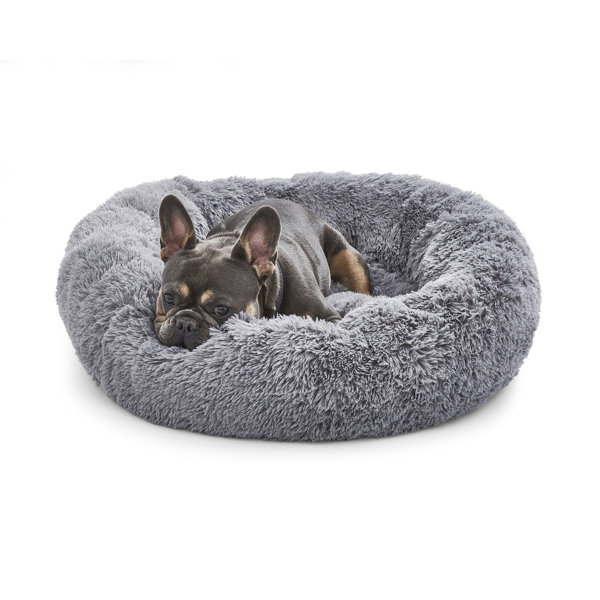 Wayfair dog beds on sale on sale